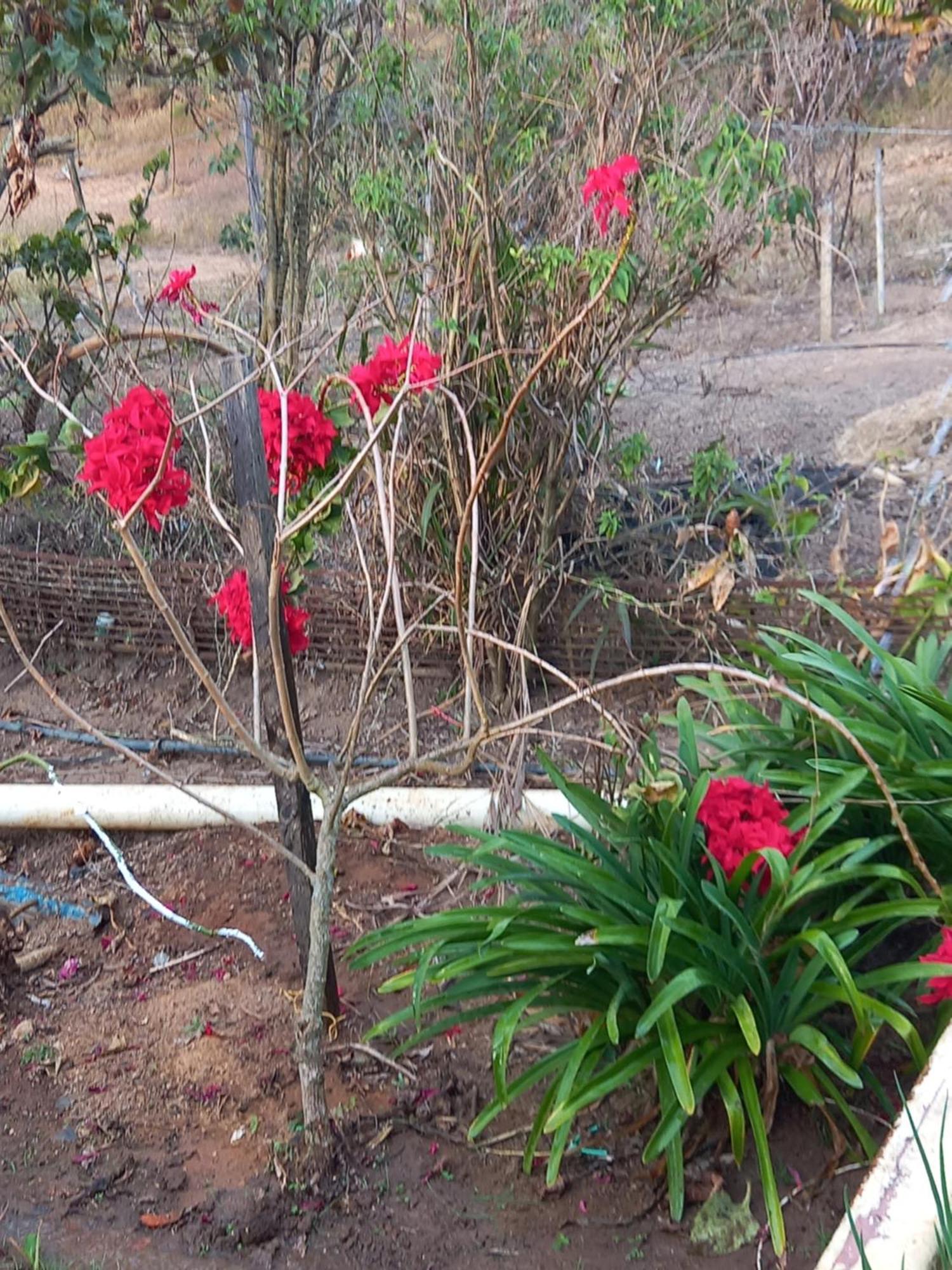 Pousada Recanto Alegre Campestre Luaran gambar